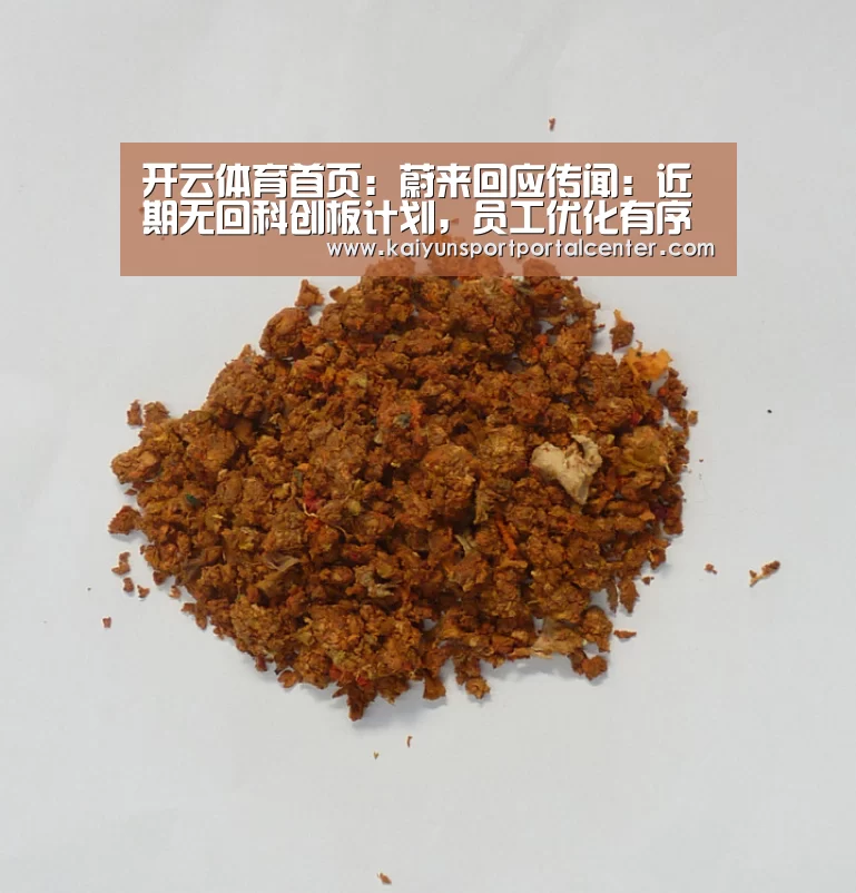 开云即时比分