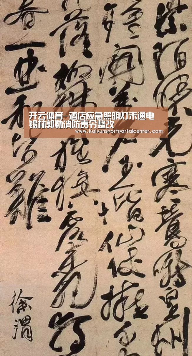 开云体育-酒店应急照明灯未通电 锡林郭勒消防责令整改(图1) 开云体育
